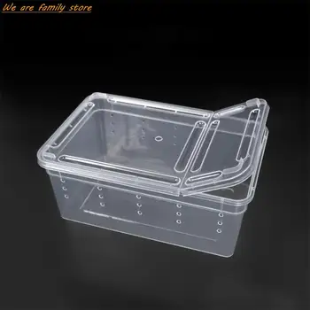 19 см x 12,5 см x 7,5 см Террариум для рептилий, Прозрачный Пластиковый ящик для кормления пауков, контейнер для корма насекомых